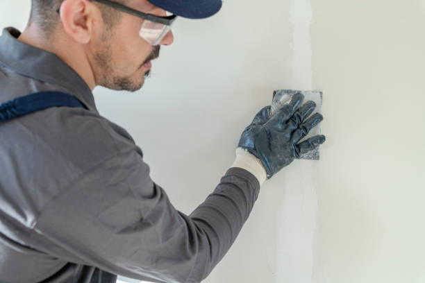 Best Residential Painting  in River Ridge, FL